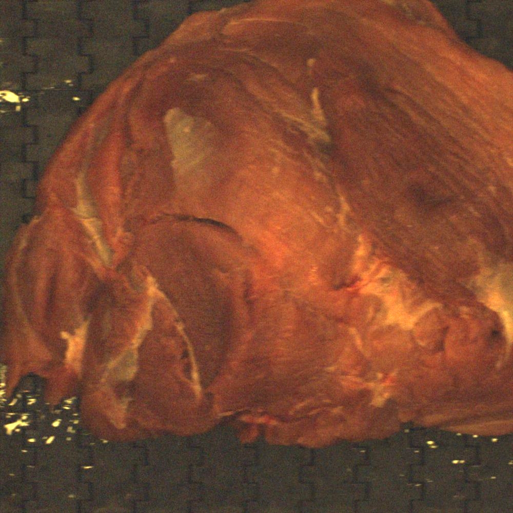 semi membranosus